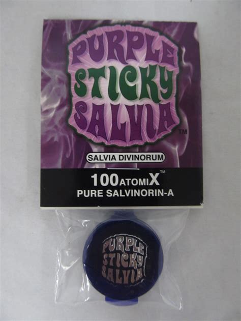  African sage, Mediterranean sage. . Sticky purple salvia